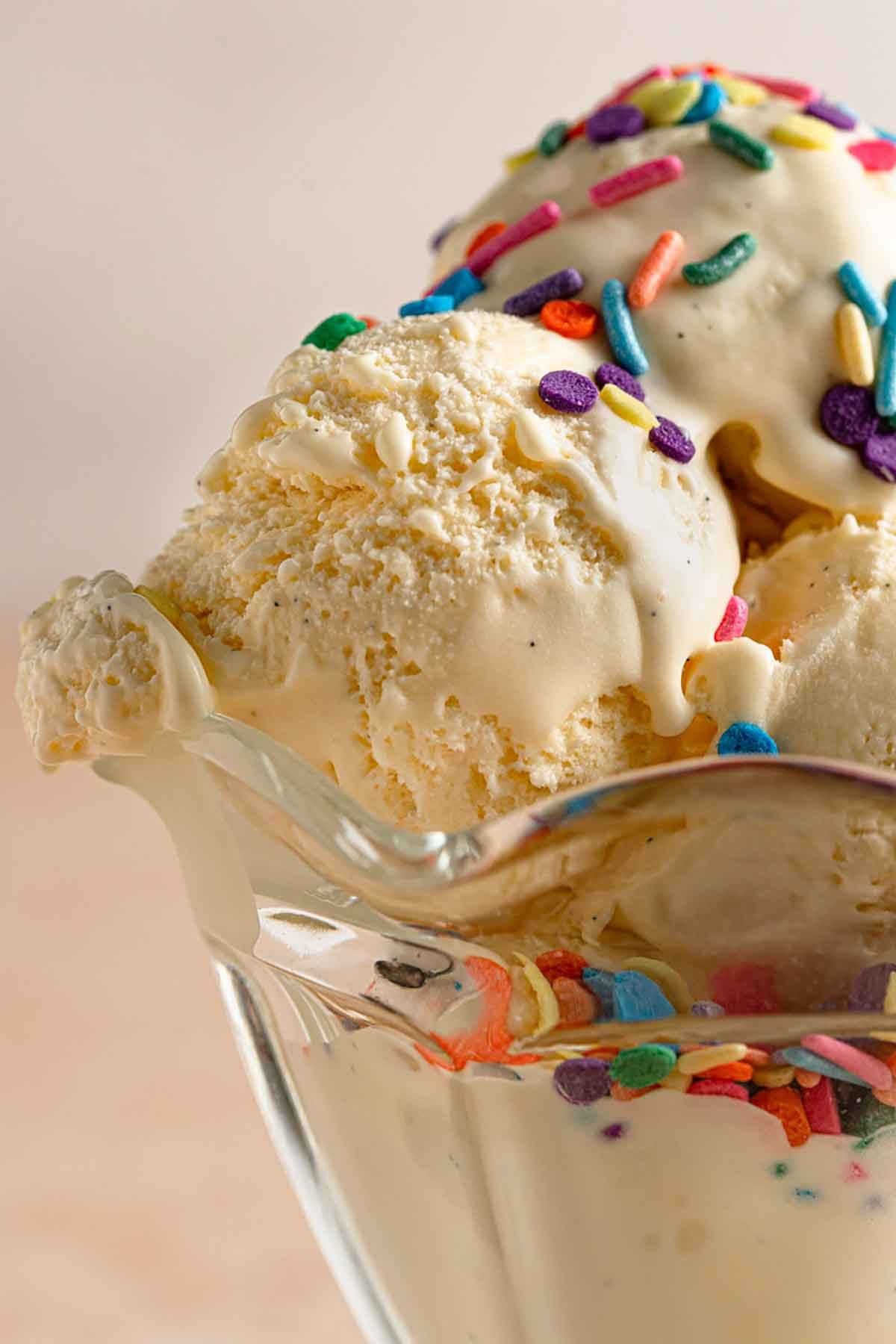 Vanilla Ice Cream