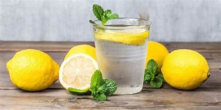 Lemon Water (नींबू पानी)